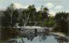 20scanlooncovebridge3.jpg