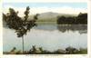 20scanrustpond2.jpg