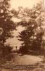suncookpinehill.jpg